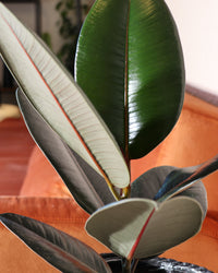 inspiratie-3