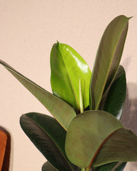 inspiratie-2