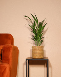 inspiratie-1
