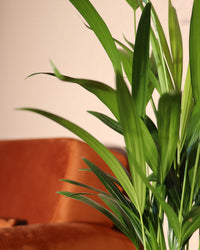inspiratie-2