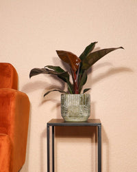 inspiratie-1