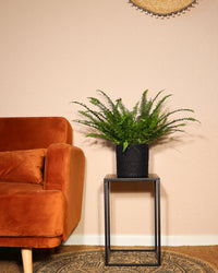 inspiratie-2