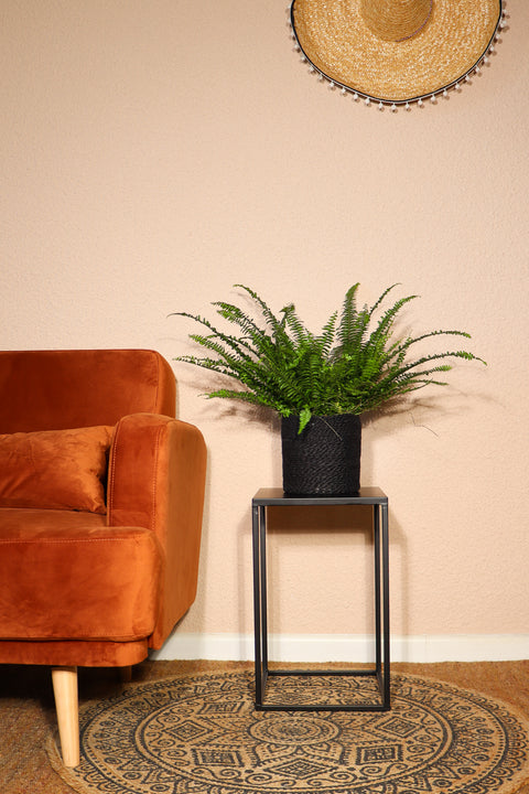 inspiratie