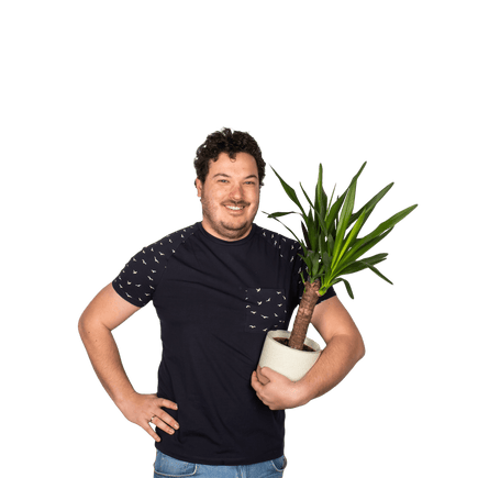 Plantenliefhebber