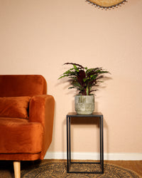 inspiratie-1