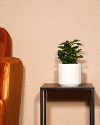 inspiratie-3