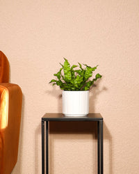 inspiratie-2