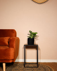 inspiratie-4