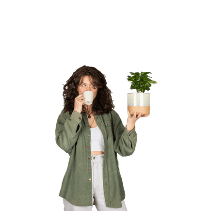 Plantenliefhebber