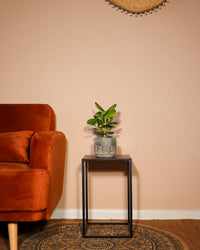 inspiratie-2
