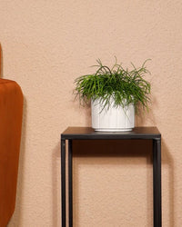 inspiratie-3