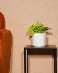 inspiratie-2
