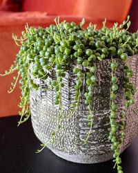 inspiratie-2