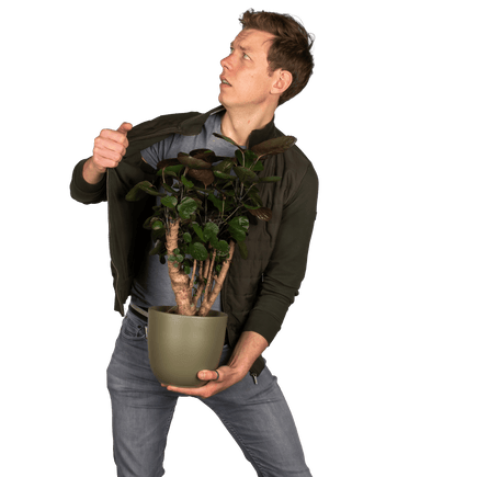 Plantenliefhebber