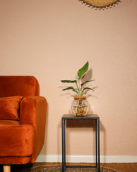 inspiratie-4