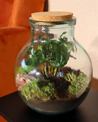 inspiratie-3