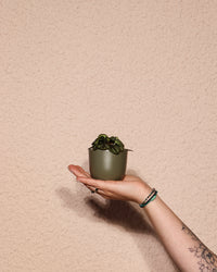 inspiratie-1