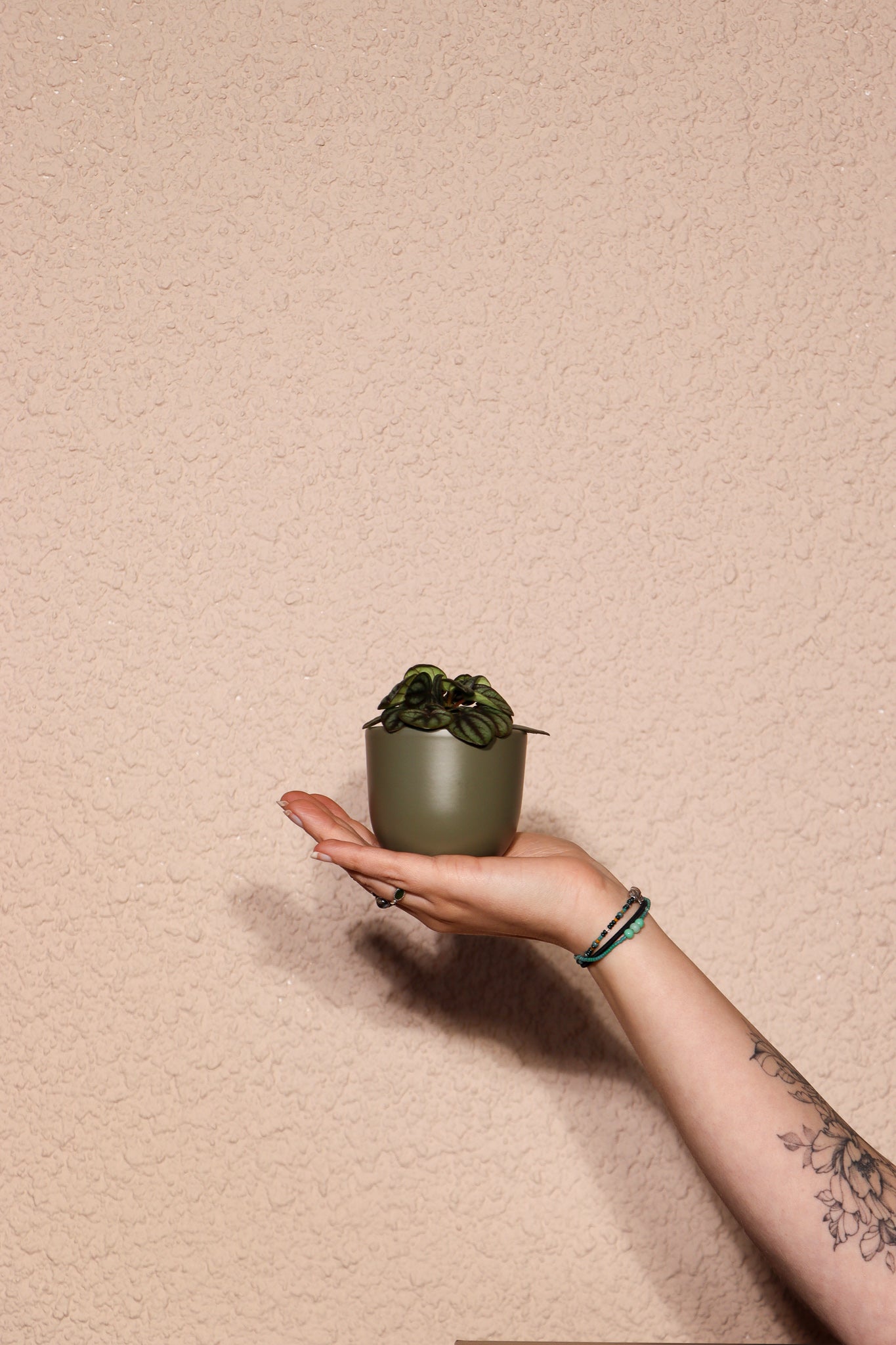inspiratie