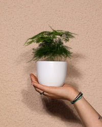 inspiratie-1
