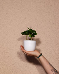 inspiratie-1