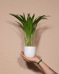 inspiratie-1