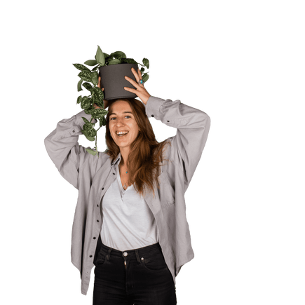 Plantenliefhebber