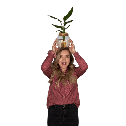 Plantenliefhebber