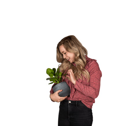 Plantenliefhebber