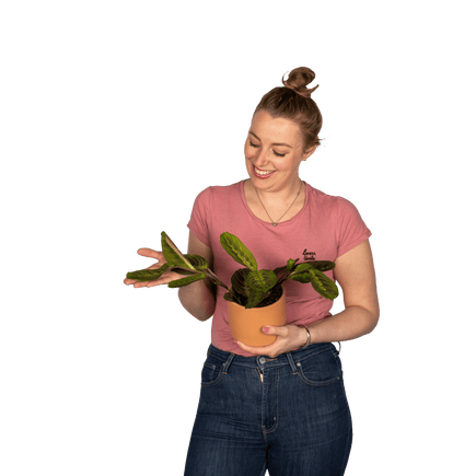 Plantenliefhebber