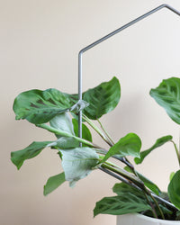 inspiratie-2