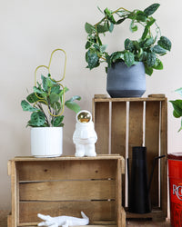 inspiratie-2