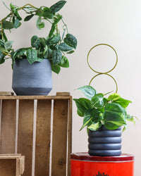 inspiratie-3