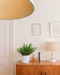 inspiratie-1