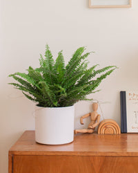 inspiratie-1