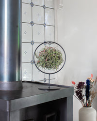 inspiratie-1
