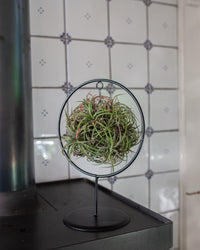 inspiratie-2