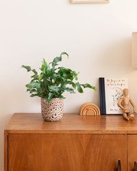 inspiratie-6