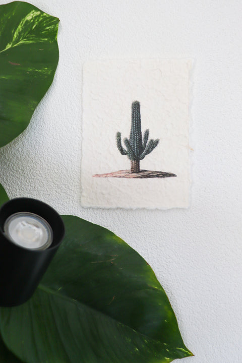 inspiratie