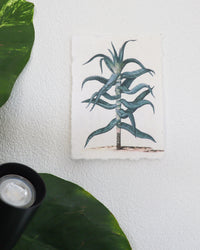 inspiratie-1
