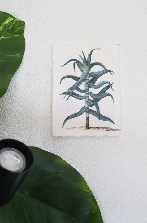 inspiratie