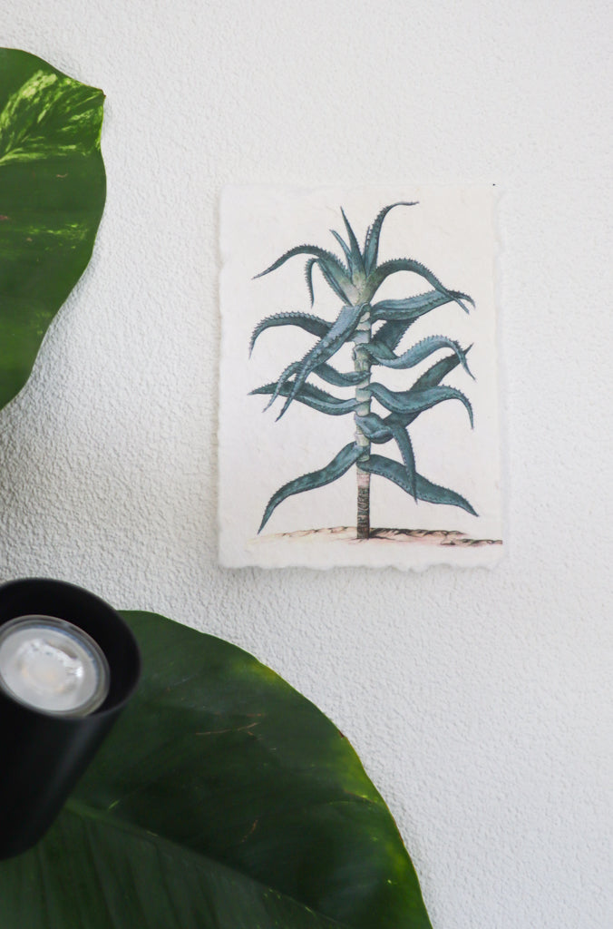 inspiratie