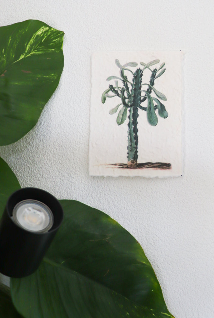 inspiratie