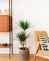 inspiratie-2