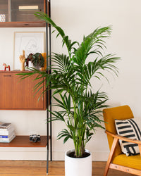inspiratie-1
