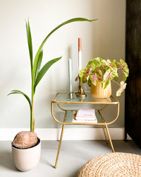 inspiratie-2