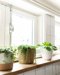 inspiratie-1