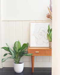 inspiratie-1