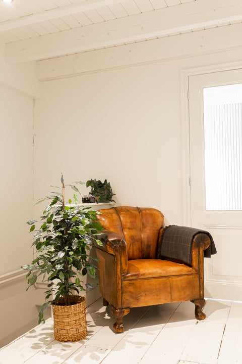 inspiratie