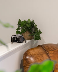 inspiratie-4