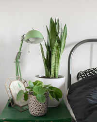 inspiratie-1